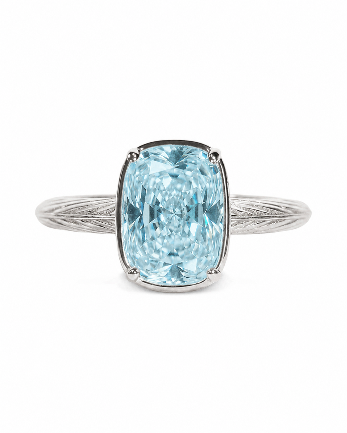 The Ocean Ring