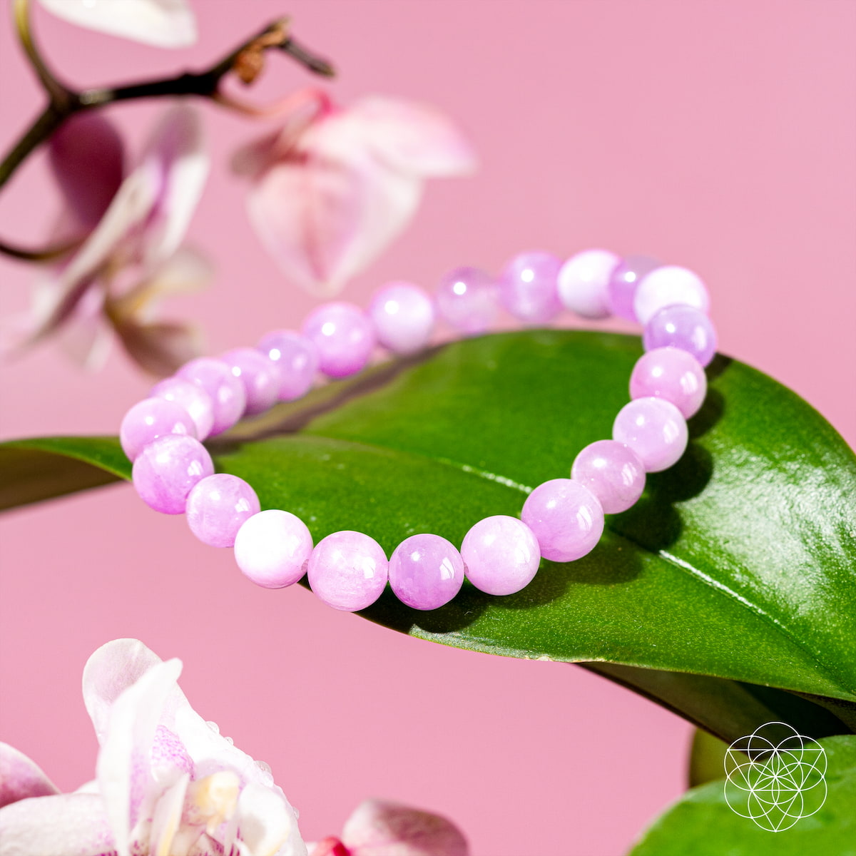The Primrose - Rare Pink Kunzite Bracelet