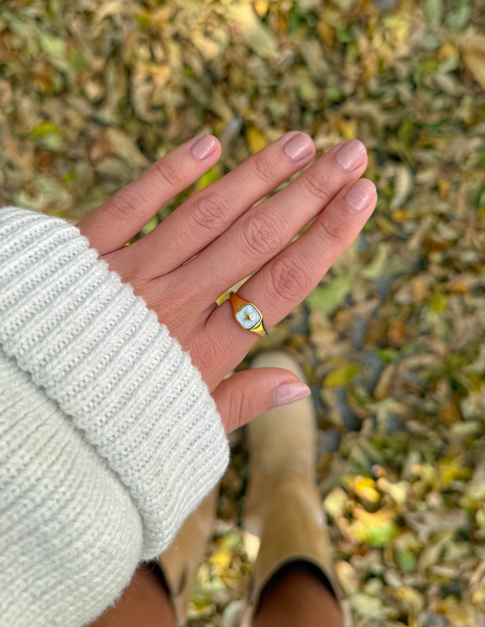 The Nova Ring